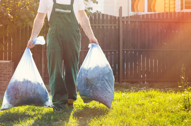 Best Electronics and E-Waste Disposal  in Cane Savannah, SC