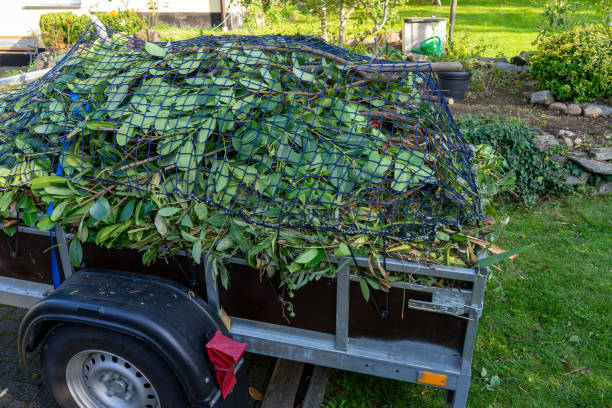 Best Dumpster Rental Services  in Cane Savannah, SC